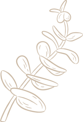 flower image
